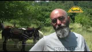 PT4 TREKKING ASINI 2013 - la valle del Rosaro