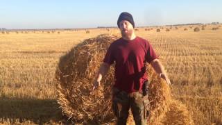Алтай! - Прикрасний Край! - Джастас Уолкер