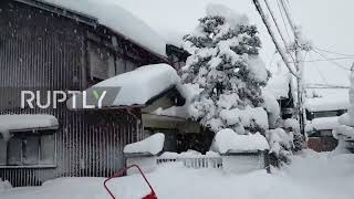 Japan: Mass travel disruptions as heavy snowfall pummels parts of country