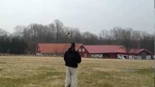 Learning to fly RC helicopter - Forward Flight & Banked Turns - T-Rex 550E - HD