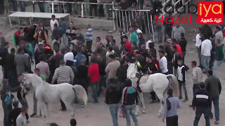 شوط الكبار العمالقة بلاك بلنسه فياق سيرين دينار ميدان الشهيد ياسر عرفات للفروسية 10/12/2015