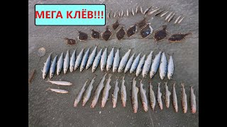 МЕГА УЛОВ! КАМБАЛА, НАВАГА, СЕЛЕДКА, ЗУБАРЬ! СУПЕР РЫБАЛКА!