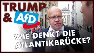 Atlantik-Brücke: Wie stehen Transatlantiker zu Donald Trump und der AfD?