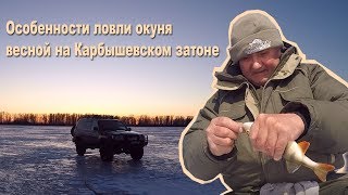 Рыбалка. Казахстан. Особенности ловли окуня весной со льда.