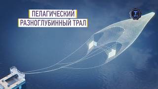 Жить Морем часть 2. Доброфлот фильм Т24 о плавбазе Всеволод Сибирцев и её рыбаках