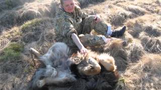 Поездка в родной посёлок  Илеза Архангельской области, 2011г.
