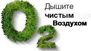 Свежий воздух в квартире - как освежить квартиру полезные советы