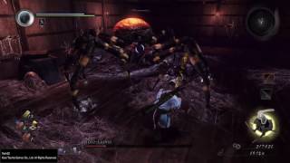 Stomping the Spider-Wench Joro-Gumo