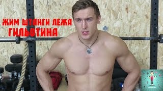 Жим штанги лежа  Гильотина