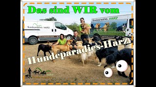 Der Hundekindergarten ~ Unser Auslaufgebiet für artgerechte Hundebetreuung