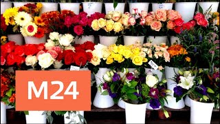 Цветы в столице подорожали в несколько раз из-за праздника - Москва 24