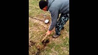 Коп самодельным металлоискателем Пират. Cop homemade metal detector Pirate.