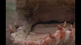 [Graphic] Crocodile eat people compilation (C1&2)