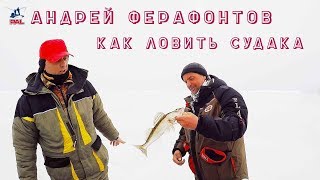 Судак на ратлины: что в коробке у чемпиона? Андрей Ферафонтов о секретах ловли судака зимой
