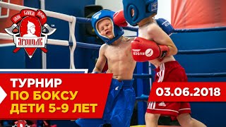 Внутренний турнир по боксу, дети 5-9 лет