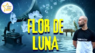 FLOR DE LUNA || TOMMASO STANZANI || ANDREA STELLA || BALLI DI GRUPPO 2022 || BACHATA || ESTATE 2022