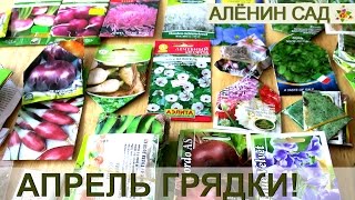 ЧТО ПОСЕЯТЬ В АПРЕЛЕ НА ГРЯДКИ? Сеем сразу на грядки без рассады!