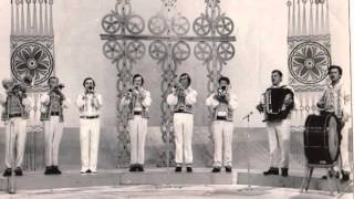 Gavriil Gronic "Melodie de dragoste"