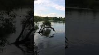Прыжки щучкой