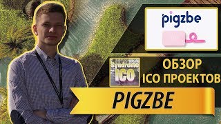 Обзор ICO| Pigzbe - копилка нового поколения
