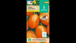 гибрид томата БУБЕНЧИКИ  ЕВРО-СЕМЕНА.  90 см высота вес 40 грамм