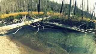 Montana Fly Fishing