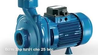 Bec tuoi rau béc tưới rau bec tưới mia béc tưới mía béc tưới thanh long bec tuoi thanh long