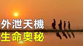 外泄的天機：常人極難知道的生命奧秘  看完發人深省！