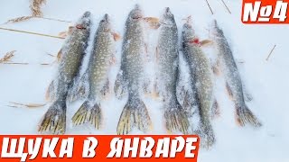Ловля щуки на жерлицы. Щука на жерлицу зимой в январе