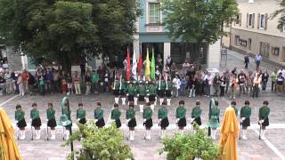 北一女中樂儀旗隊中歐管樂節表演(Open air concert in Schladming) 2012/07/09