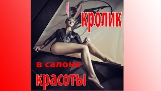 кролик в салоне красоты \ rabbit in beauty shop