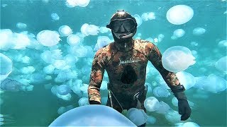 НАШЕСТВИЕ МЕДУЗ! Подводная Охота и дайвинг в Чёрном море. Нашли старый якорь!