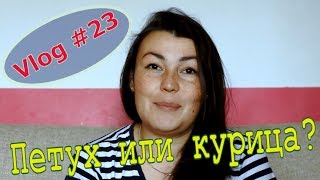 Vlog. Сено. Петух или курица. Утки худые // Мое хозяйство // Юлия Артуровна
