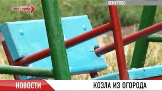 Сотрудник детского сада осужден за педофилию