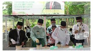 Wapres Tanam Bibit Sawit, Bersama Para Santri