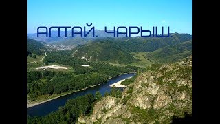 Алтай   В окрестностях Чарышского