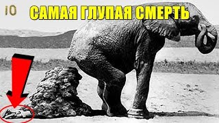 Самые Глупые Поступки с Летальным Исходом За Всю Историю Премии Дарвина ТОП 10 Без Здравого Смысла