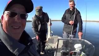 Рыбалка в Астрахани. Октябрь 2019