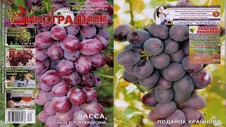Мой Виноградник  № 12 Декабрь 2017г