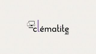 Clématite Barbara Harrington® by clematite.net - Spécialiste des plantes de jardin