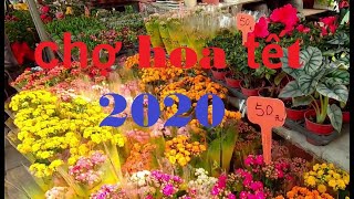 chợ hoa cận tết 2020 tại Đài Loan | taiwan travel
