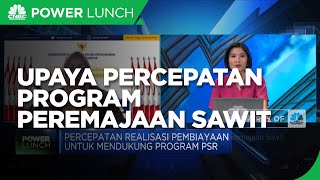 Upaya Kemenko Perekonomi Percepat Program Peremajaan Sawit