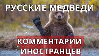 Русские медведи. Комментарии иностранцев.