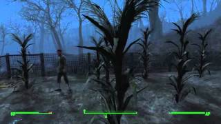 Fallout 4 THE GREEN LIGHT