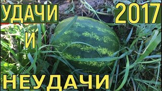 Удачи и неудачи холодного лета 2017 года  Урожай в Подмосковье