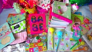 КАНЦЕЛЯРИЯ К ШКОЛЕ!///МИМИШНАЯ КАНЦЕЛЯРИЯ!///МНОГО КАНЦЕЛЯРИИ!///PushЯна!///