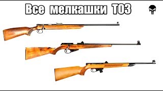 Все малокалиберные винтовки ТОЗ