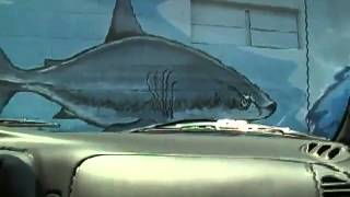 Deep Sea Fishing at Deep Sea Headquarters Port Aransas, Tx