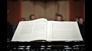 Solius Orchestra - Interview