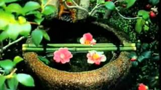 Чистка крови, организма. Омоложение.